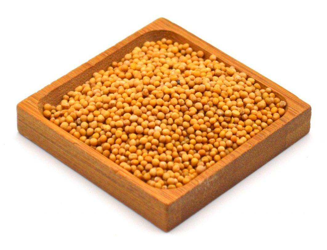 Yellow Mustard Seeds - The Marks Trading Company