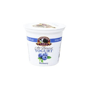 Yogurt - Blueberry September Farms 6 oz