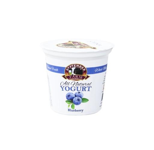 Yogurt - Blueberry September Farms 6 oz