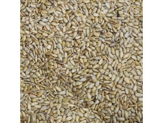 Sunflower Kernels - Roasted & Salted- Bulk