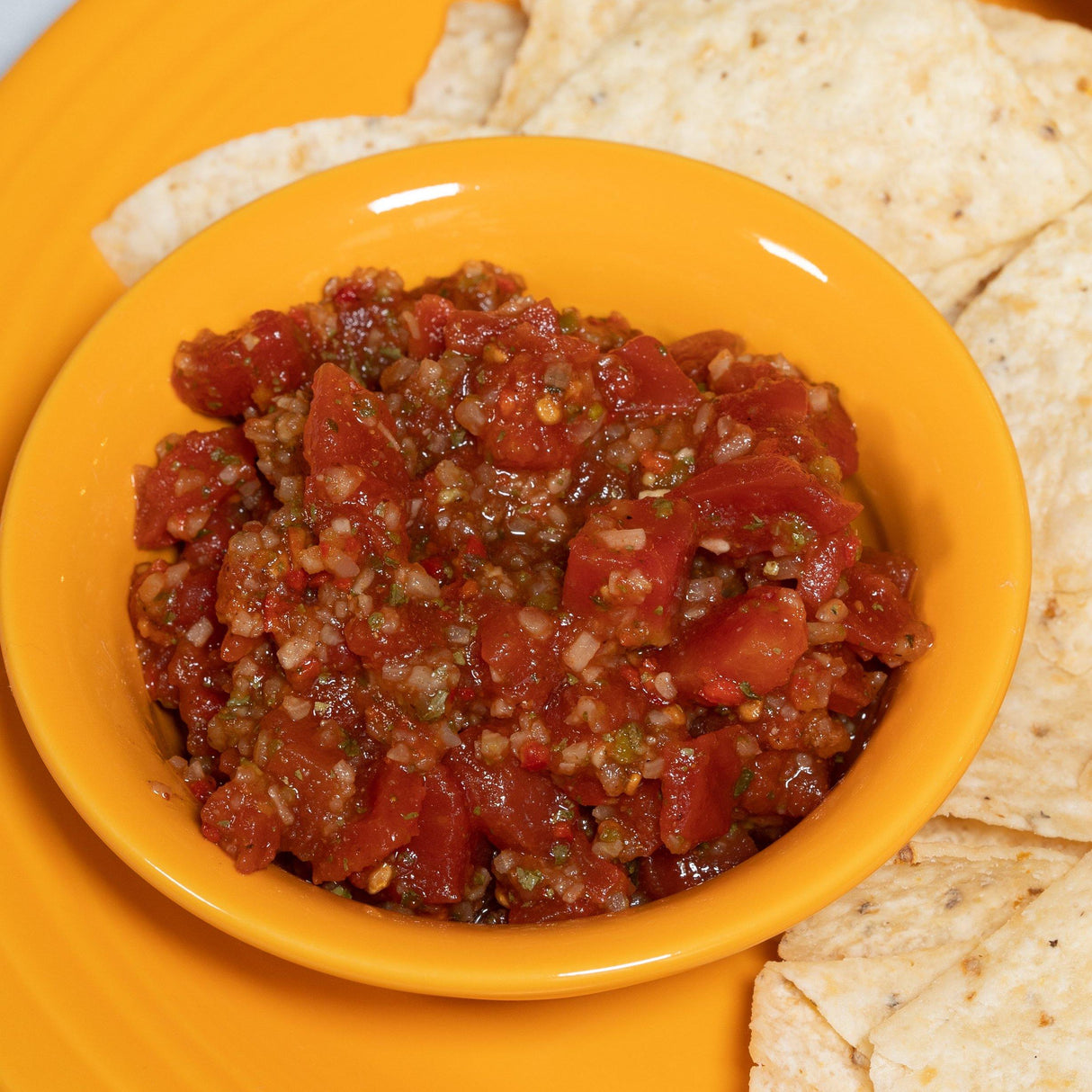 Jalapeño Lime Salsa Dip and Spread Mix - The Marks Trading Company