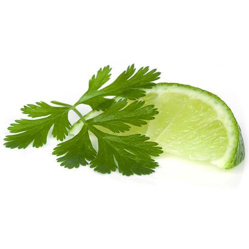 White Cilantro Lime Balsamic - The Marks Trading Company