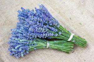 Lavender Dark Balsamic - The Marks Trading Company